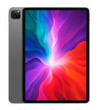 Apple iPad pro 12.9 Wifi 4.gen | 256GB | Grå
