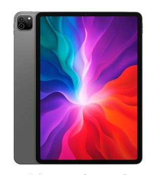 Apple iPad pro 12.9 Wifi 4.gen | 256GB | Grå