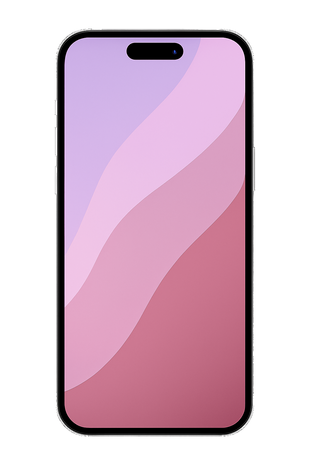 XS MAX Reparationer
