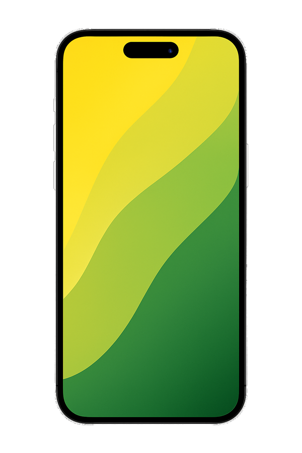 iPhone 16 Plus Reparationer